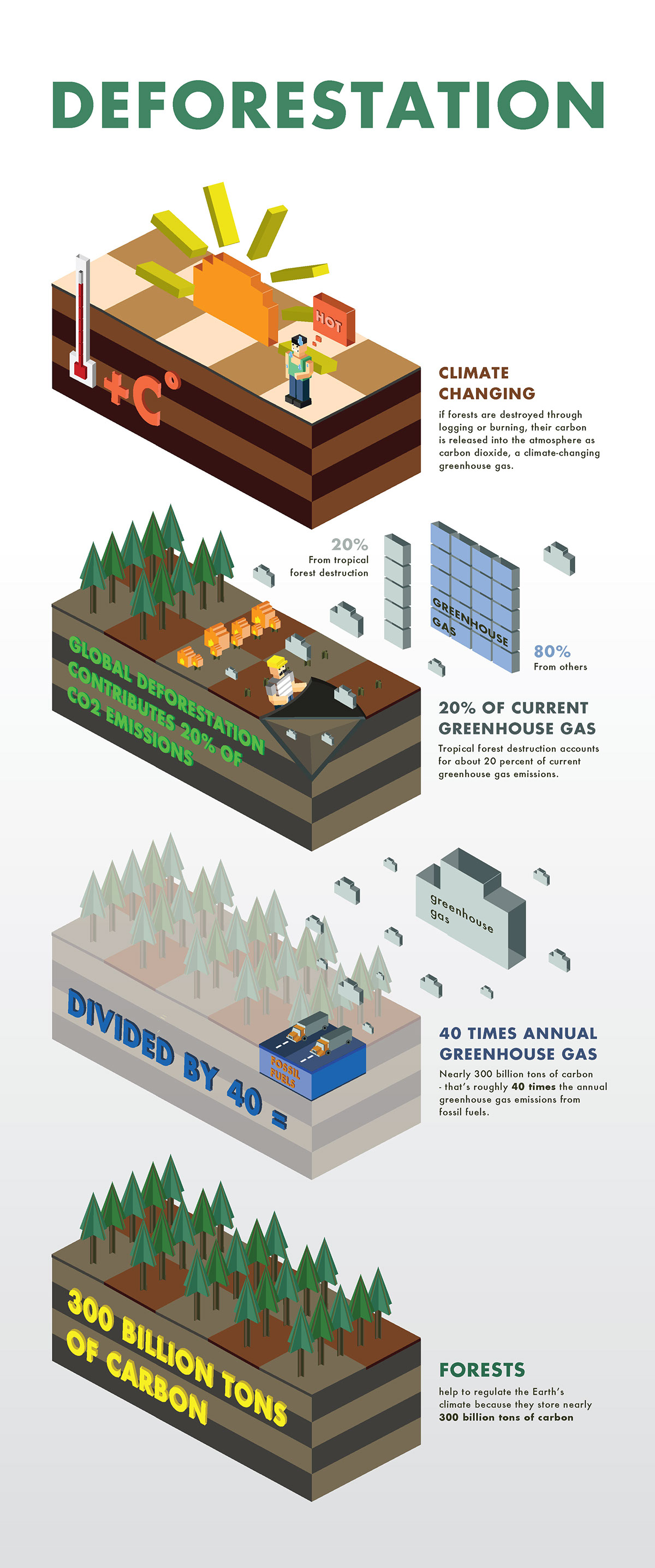 infographic forest volcanoes