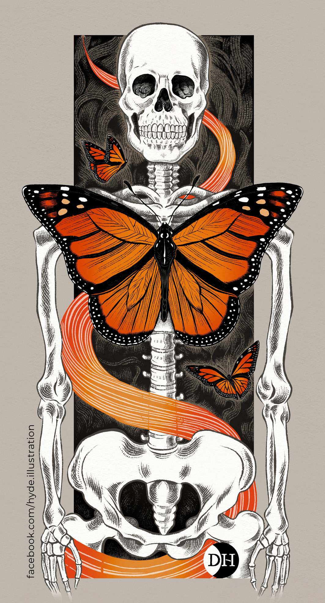 china su carta disegno disegno a china Farfalla farfalla monarca illustrazione a china monarch scheletro skull teschio