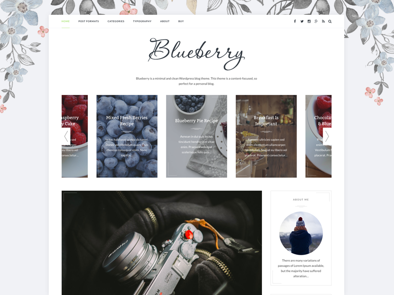 blogging  template wp Blog wordpress Theme blueberry