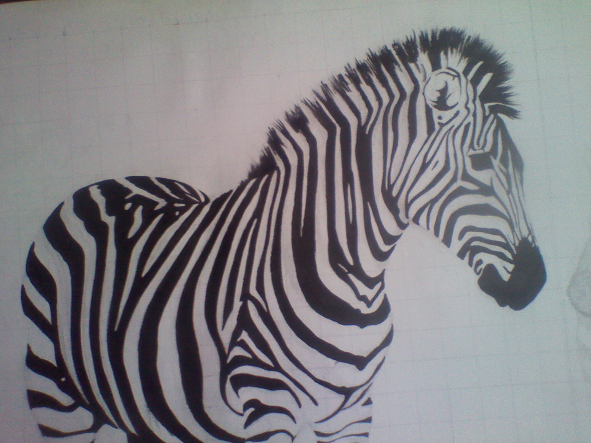 zebras  acrylics black and white  canvas africa wildlife