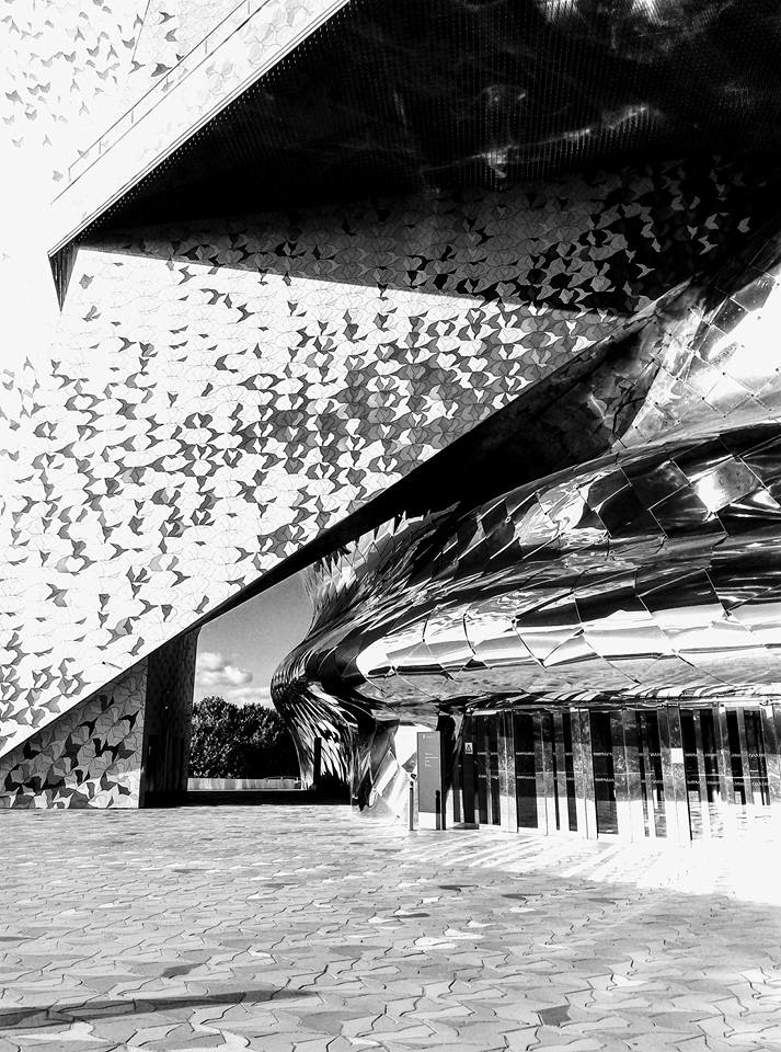 abstract architectural photography architecture b&w black and white Paris Photography  Louis vuitton louis vuitton foundation Philharmonie