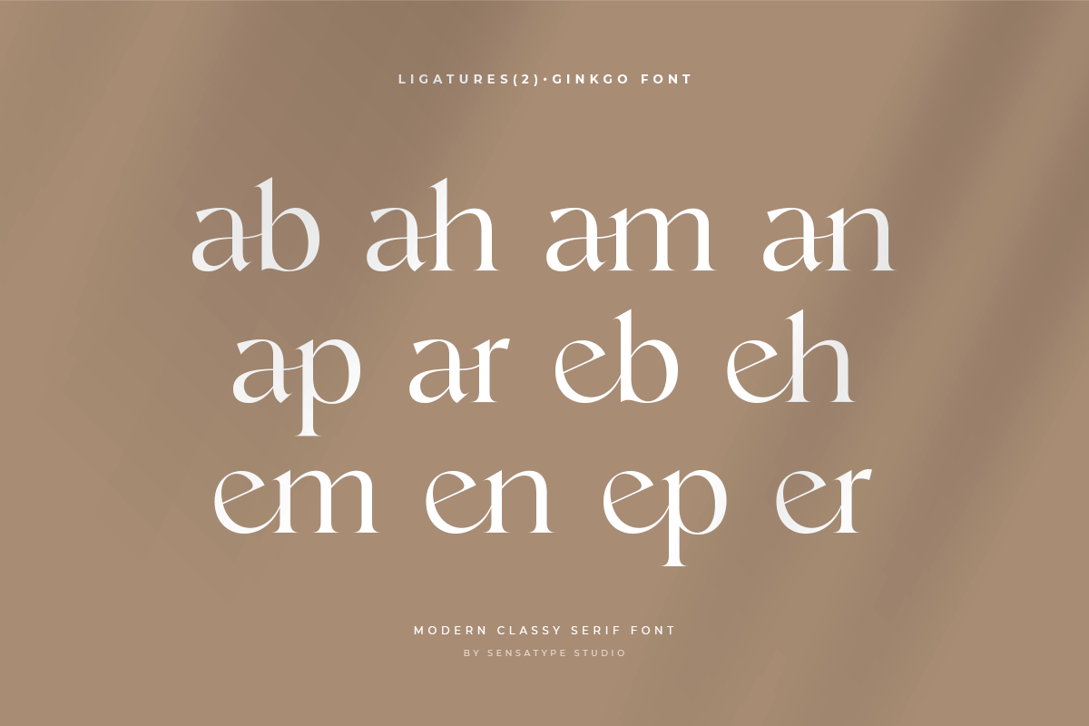 branding font classy font display font elegant font Fashion font Logotype modern font serif type design Typeface