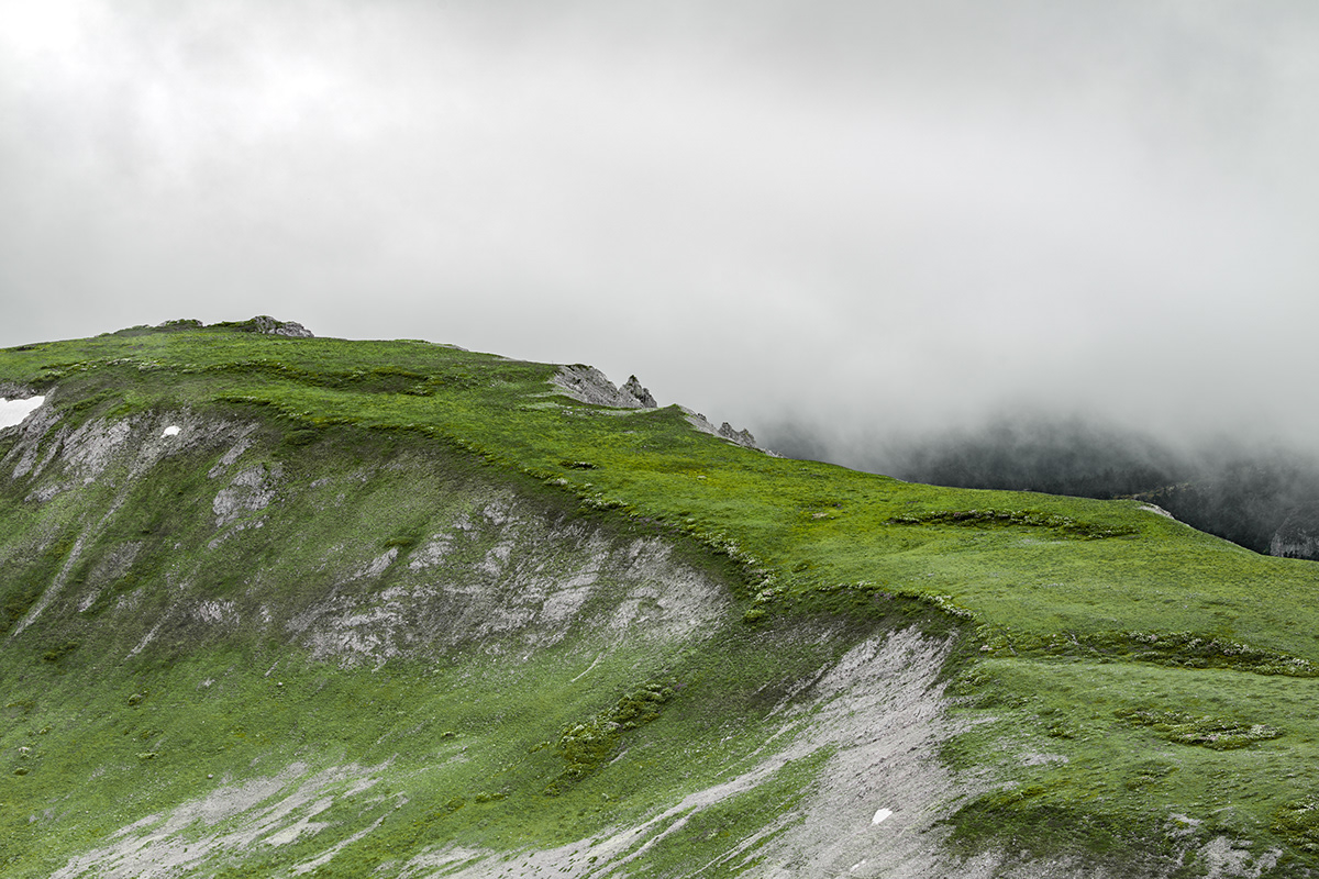 green Shangri-La Shika Snow Mountain snow mountain Yunnan 云南 白马雪山 香格里拉 壁纸  shika