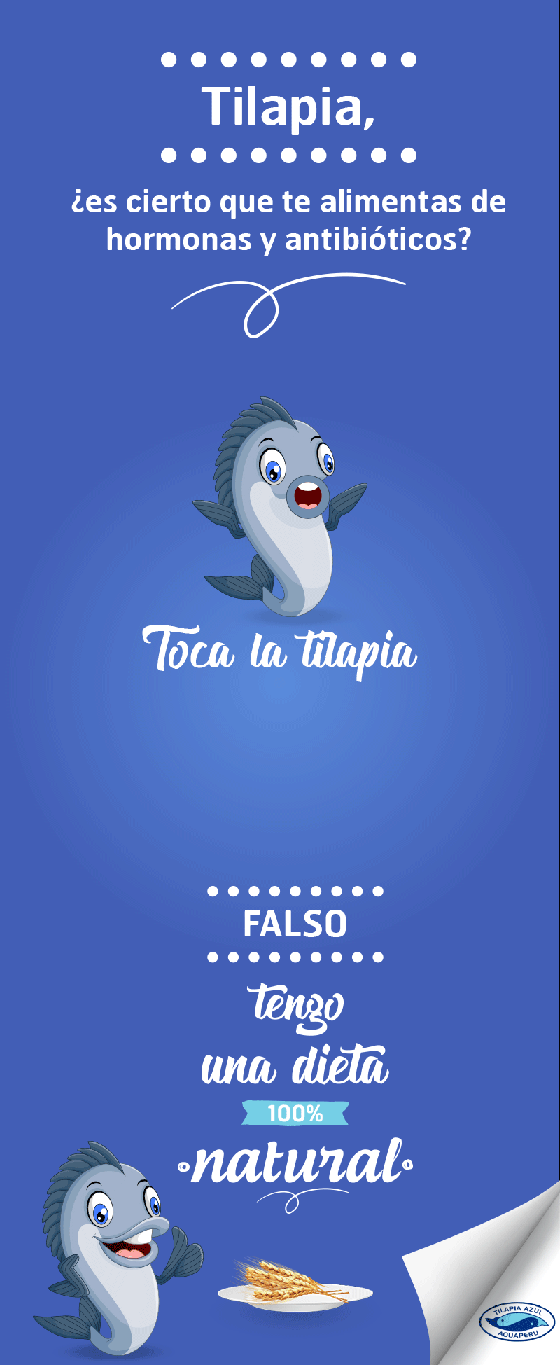 comida pescados Tilapia SOCIAL MEDIA COMIDA