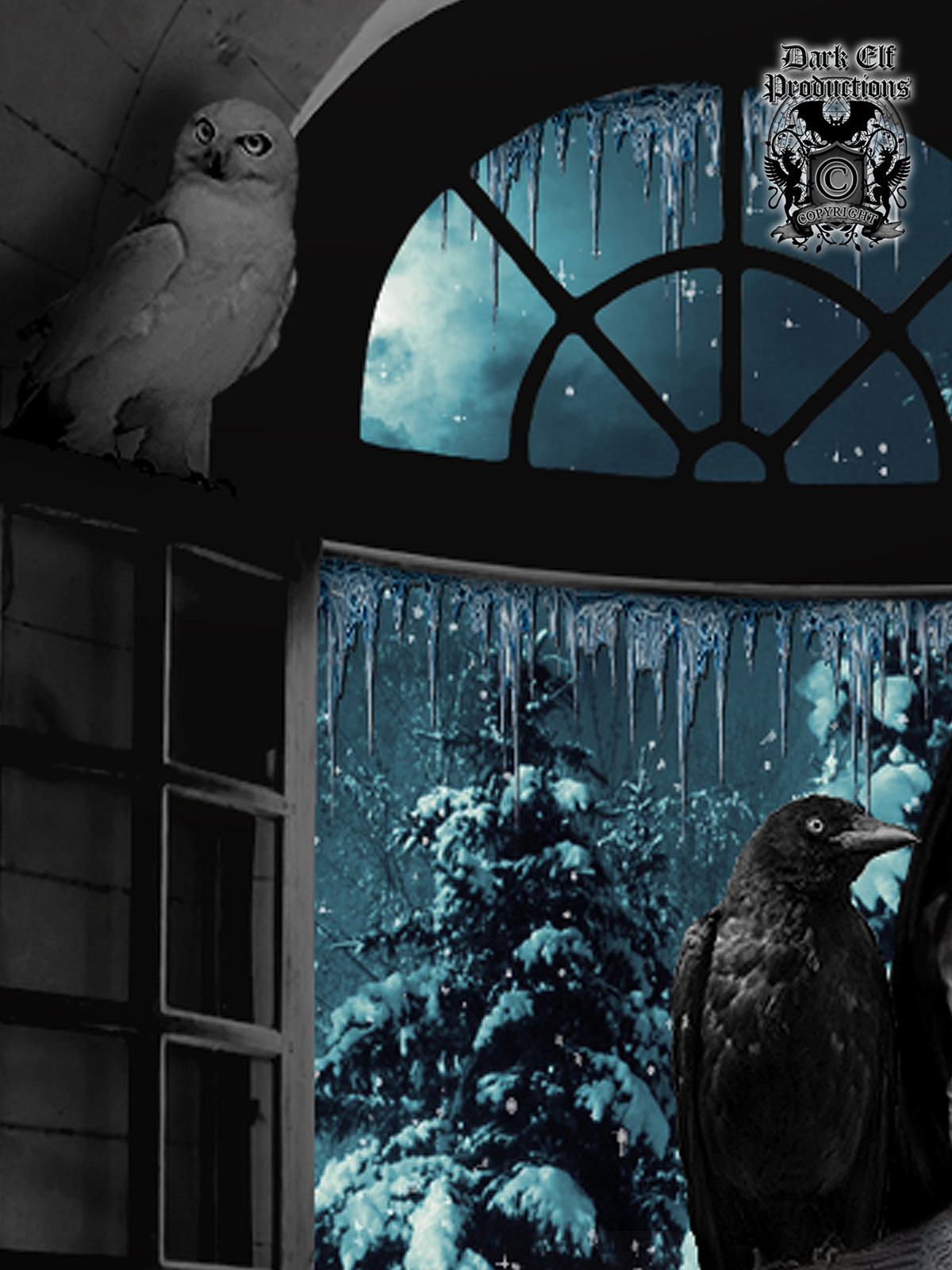 winter  creative  magazine cover fantasy holidays marketing   solstice yule snow Dark Elf Productions Brian Draven Brian Von Draven