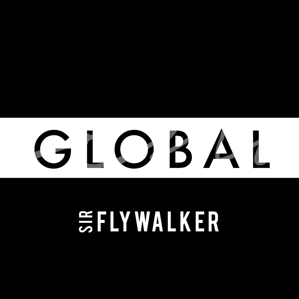 Global sir flywalker matt hodin Hodin matt music design album art Intrumental