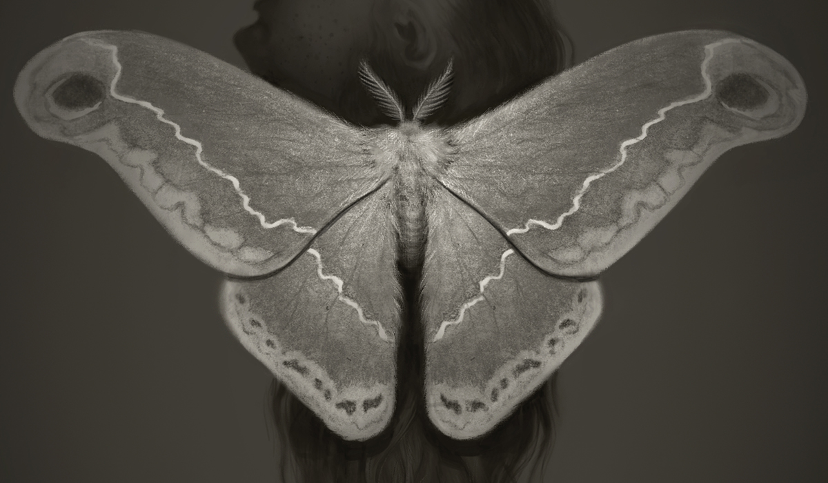 surrealism realistic digital photoshop graphite Nature moth woman hair sepia