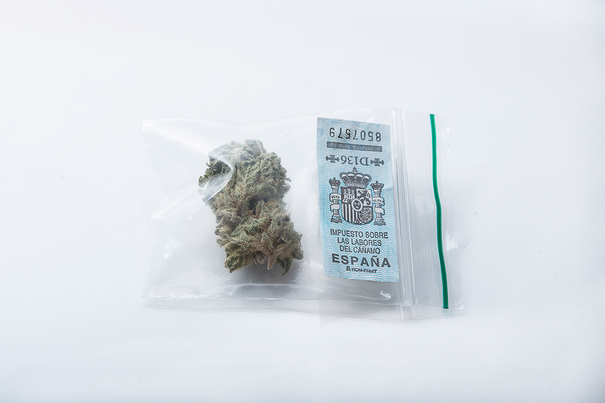 mariuhana weed grow cannabis Documentary  hashish seed