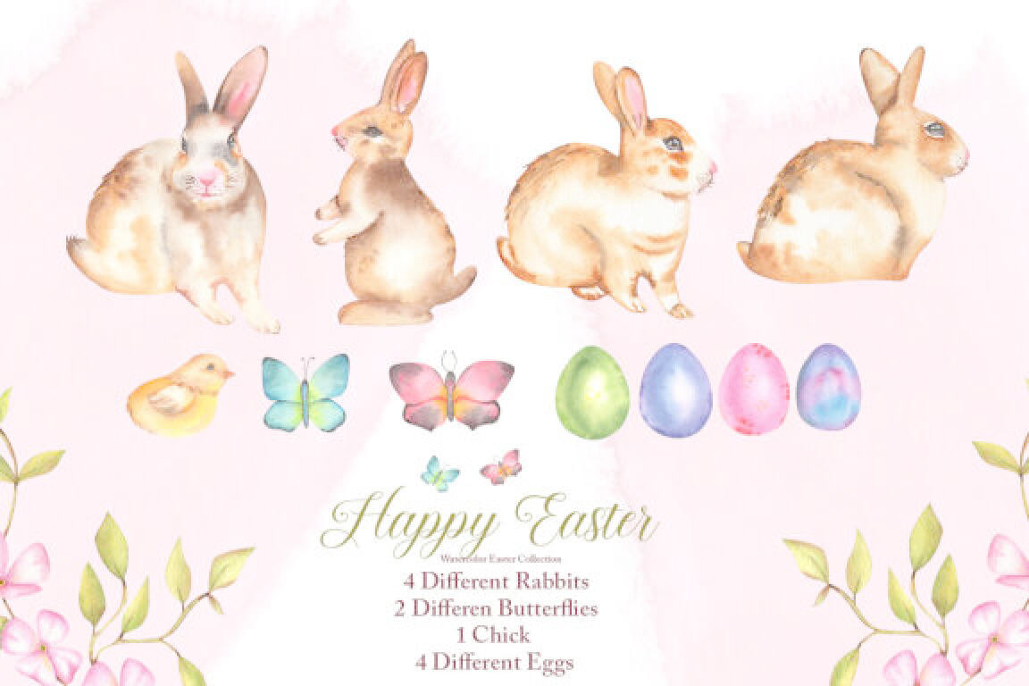 Image may contain: rabbit, rabbits and hares and domestic rabbit