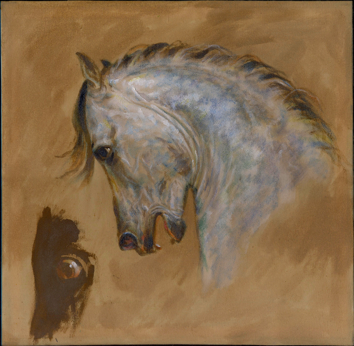 animal artwork Character Drawing  head horse Oil Painting on canvas painting   sketch