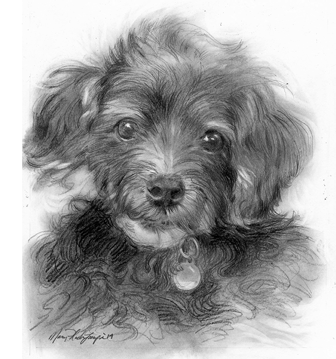 dogs Pen & Ink watercolor portraits animals animal portraits Dog Portraits drawings Dog drawings pets pet drawings pet watercolors ink drawings watercolors sketches