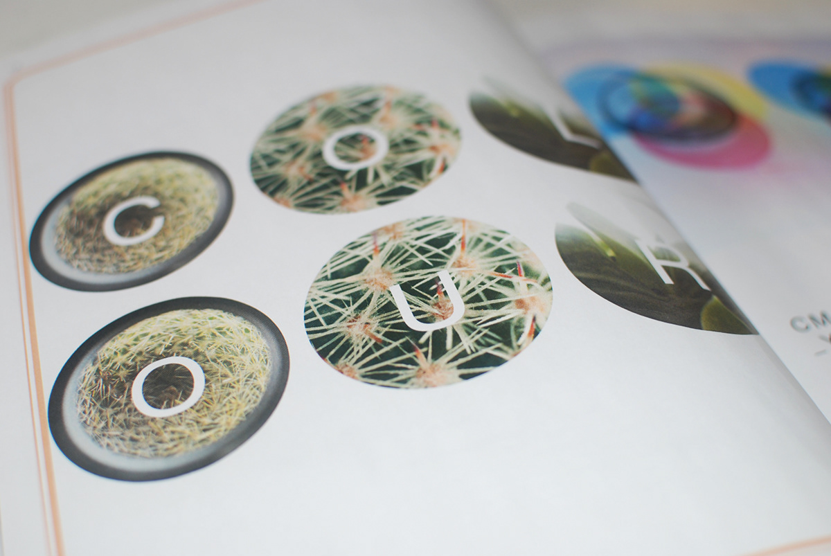 cactus prepress digital print print manual InDesign photoshop