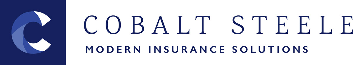 branding  business logo brand graphic design  insurance corporate brand identity Brand Design blue