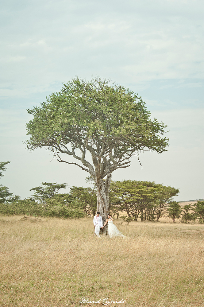 wedding  kenya  masai mara  Island Cupids  wild africa