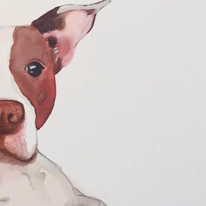 portraits Paintings dog portrait dogs Drawing  artwork Memorials pet art