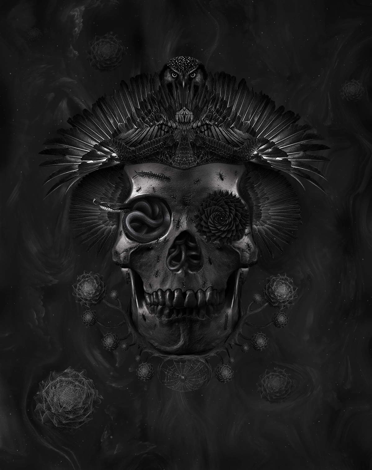 surreal skull owl black dark ismail akyıldız digital illustration