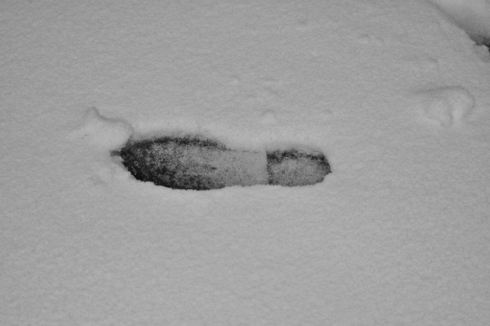 winter Nikon D5000 detail snow