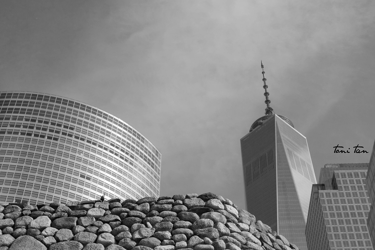 World Trade Center wtc one world trade new york city New York NY architecture