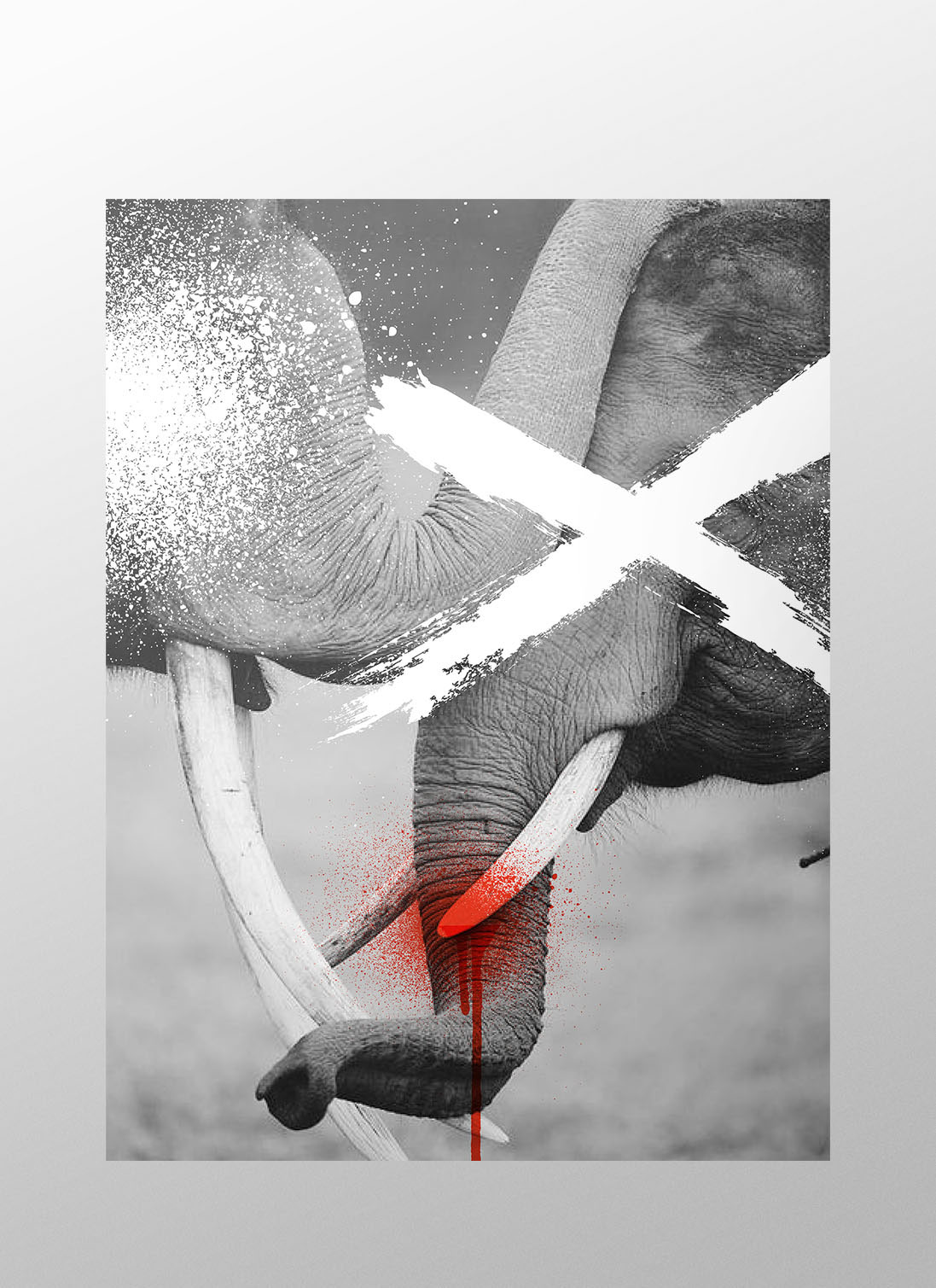 infographic elephant ivory installation poaching spraypaint vector mfa campaign advertisement shocking conceptual