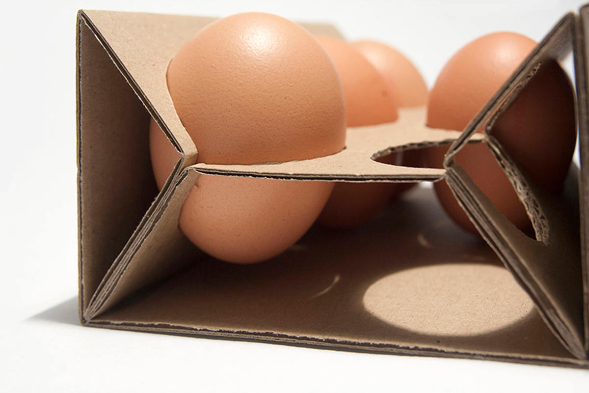 eggs minimal recyclable ecological Food  box pamboli