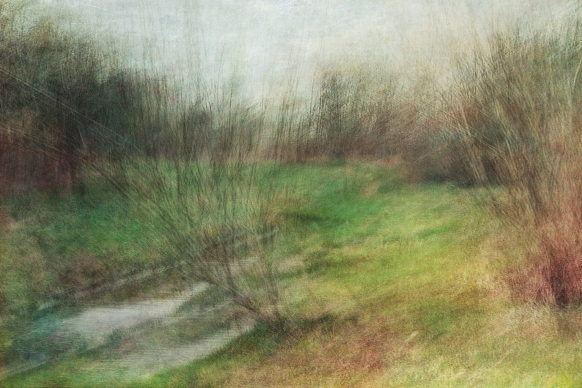 abstract blur ICM Photography  spring