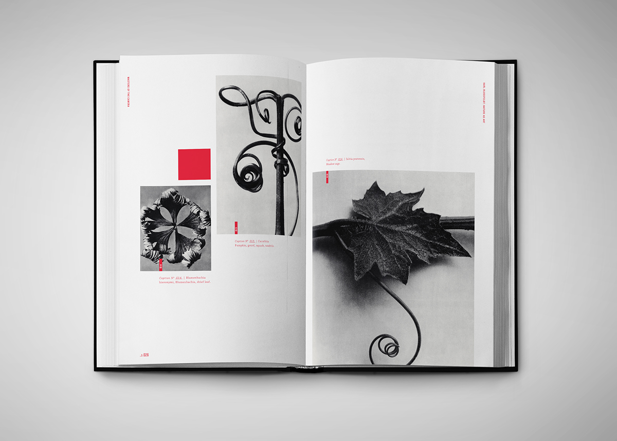 plants Layout exciting vibrant Project red University paragraph print knockout Baskerville clean type minimal simple