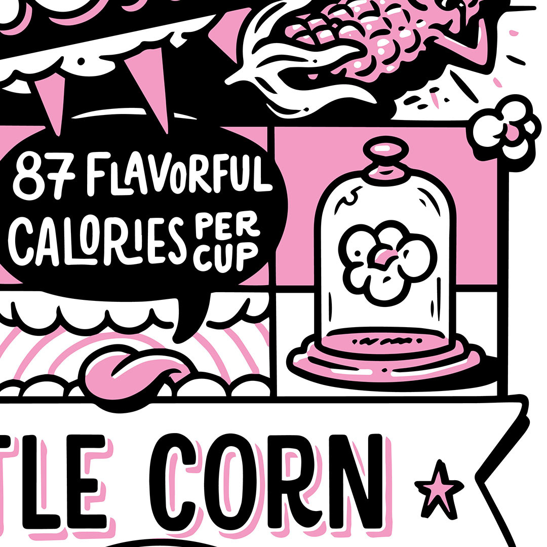 branding  cheddar comic panels ILLUSTRATION  kettle corn nutritional package design  Packaging popcorn vitamins