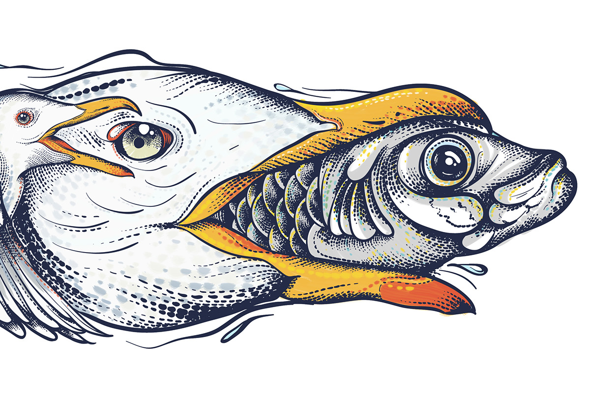 sardinha lisboa Gaivota peixe pontilhismo terreiro do paço
