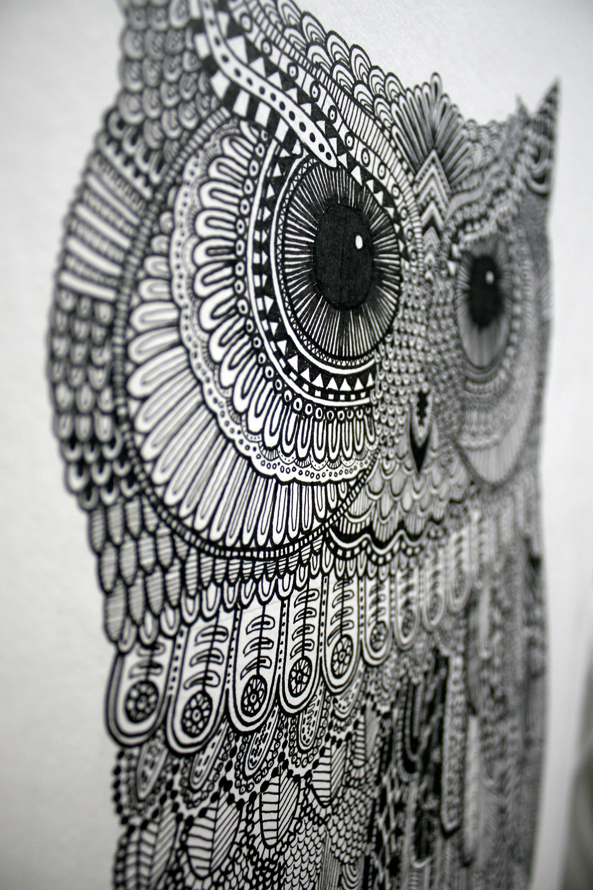 owl  Illustration  ilustración  lechuza  detealle  Details