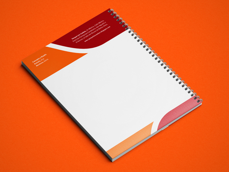 design corporate identity publishing   editorial diseño identidad corporativa manual logo
