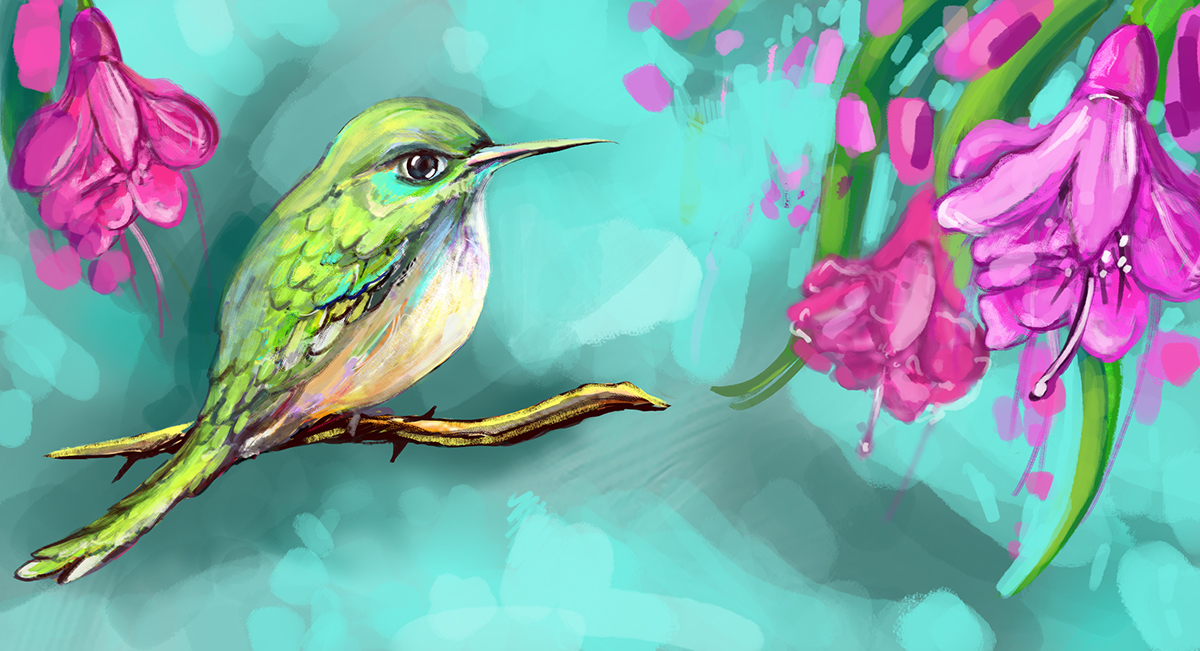 Humming-Bird bird Flowers