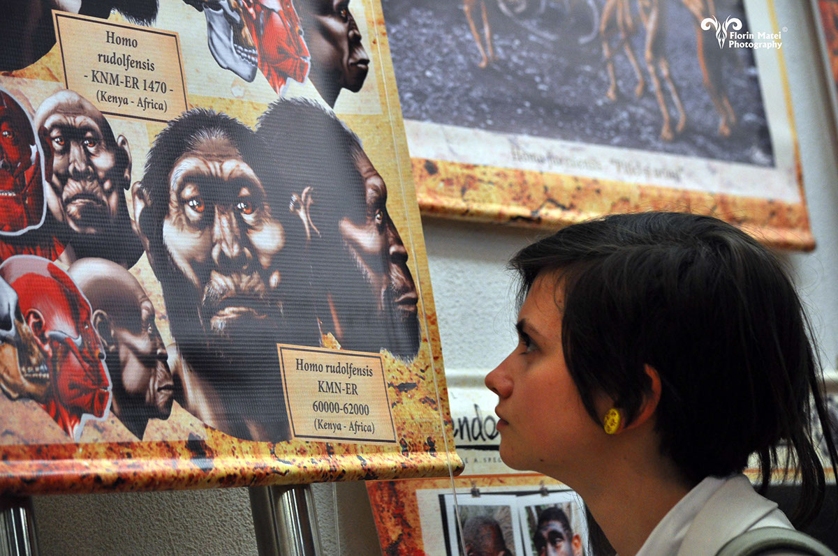 human Lineage evolution huma darwin hominin Exhibition 