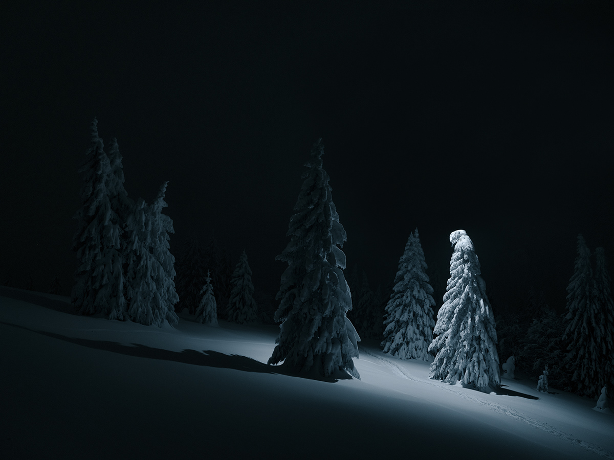 illumination led light lightpainting night snow trees winter blue Landscape