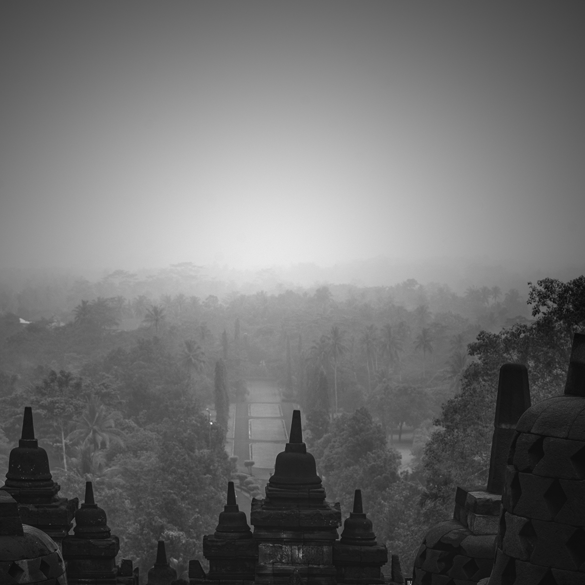 #borobudur #buddha #indonesia