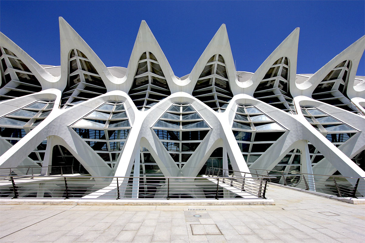 Santiago calatrava City of Arts valencia Architectural photo tour Ciutat de les Arts i les Ciències de Valencia photo shoot Photography 
