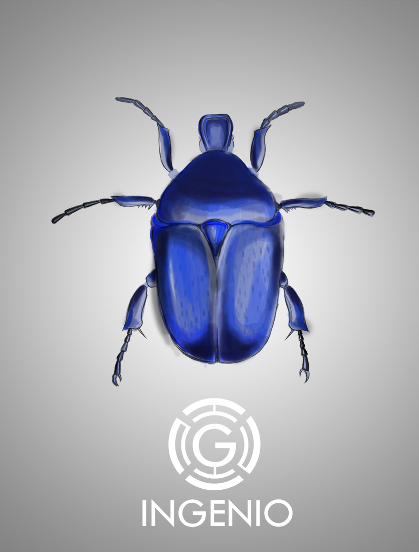 arte Cauca ciencia design gráfico escarabajos Ilustração ilustracion Josue Diaz Piendamo Popayan - cauca