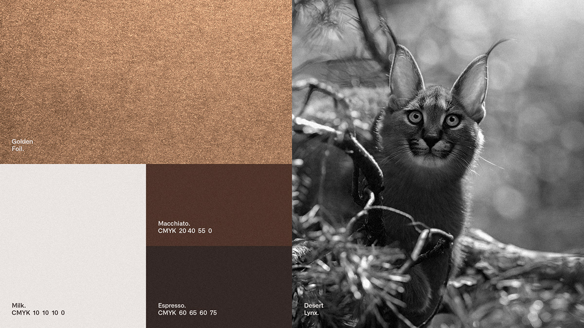 branding Coffee coffee shop design logo Logo Design Logotype Packaging visual identity