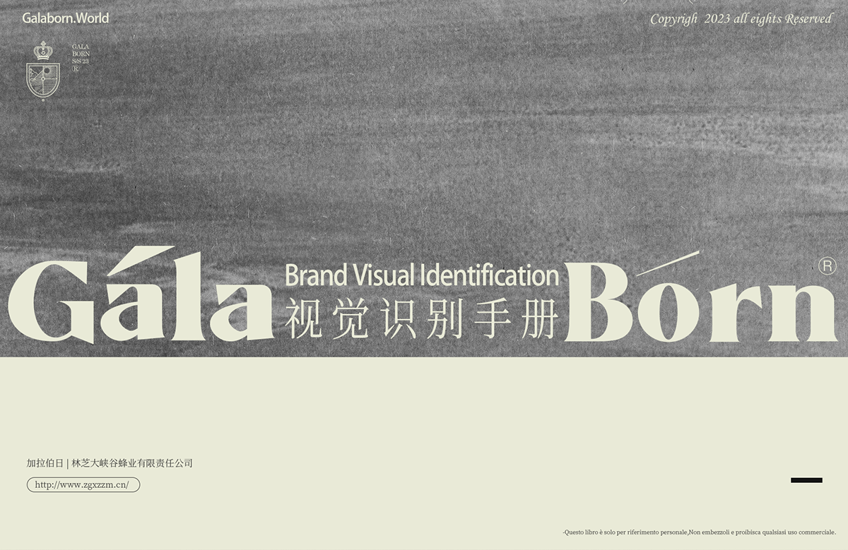 branding  font字体设计 Logo Design visual identity VI设计 品牌全案 视觉识别 酒包装