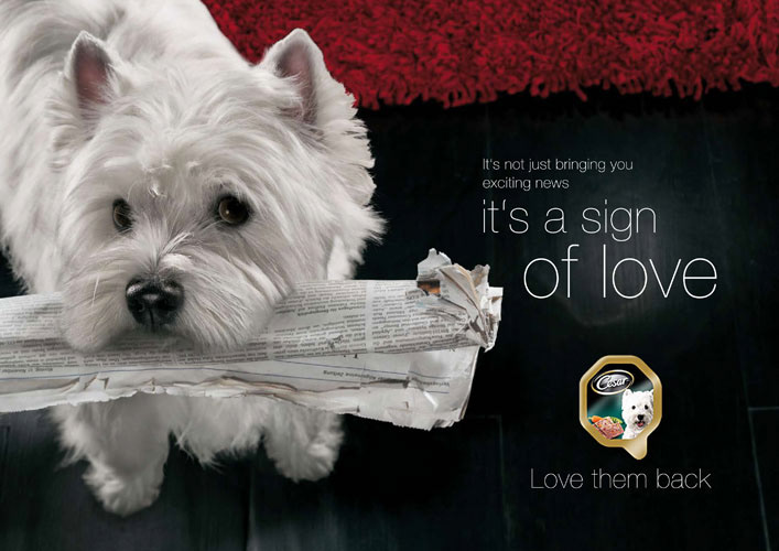 mars cesar Pet Food  campaign