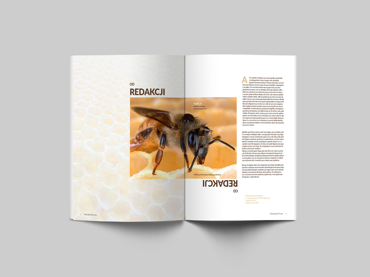 bee magazine Layout honey catalog