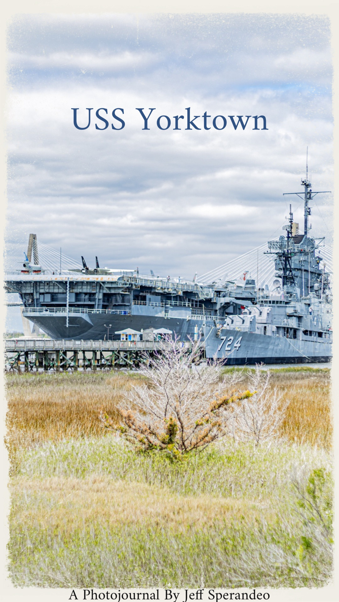 carrier charleston history navy ship south carolina