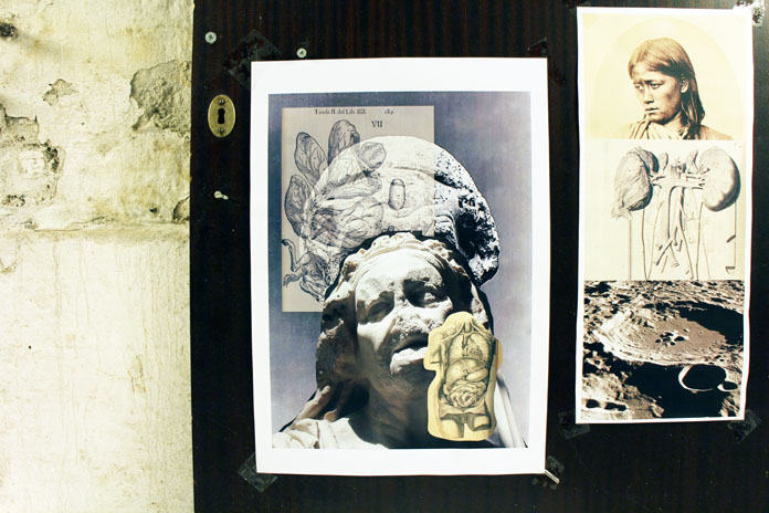 collage cells Greek statue  deep sea paper CONTEMPORARY ARTIST