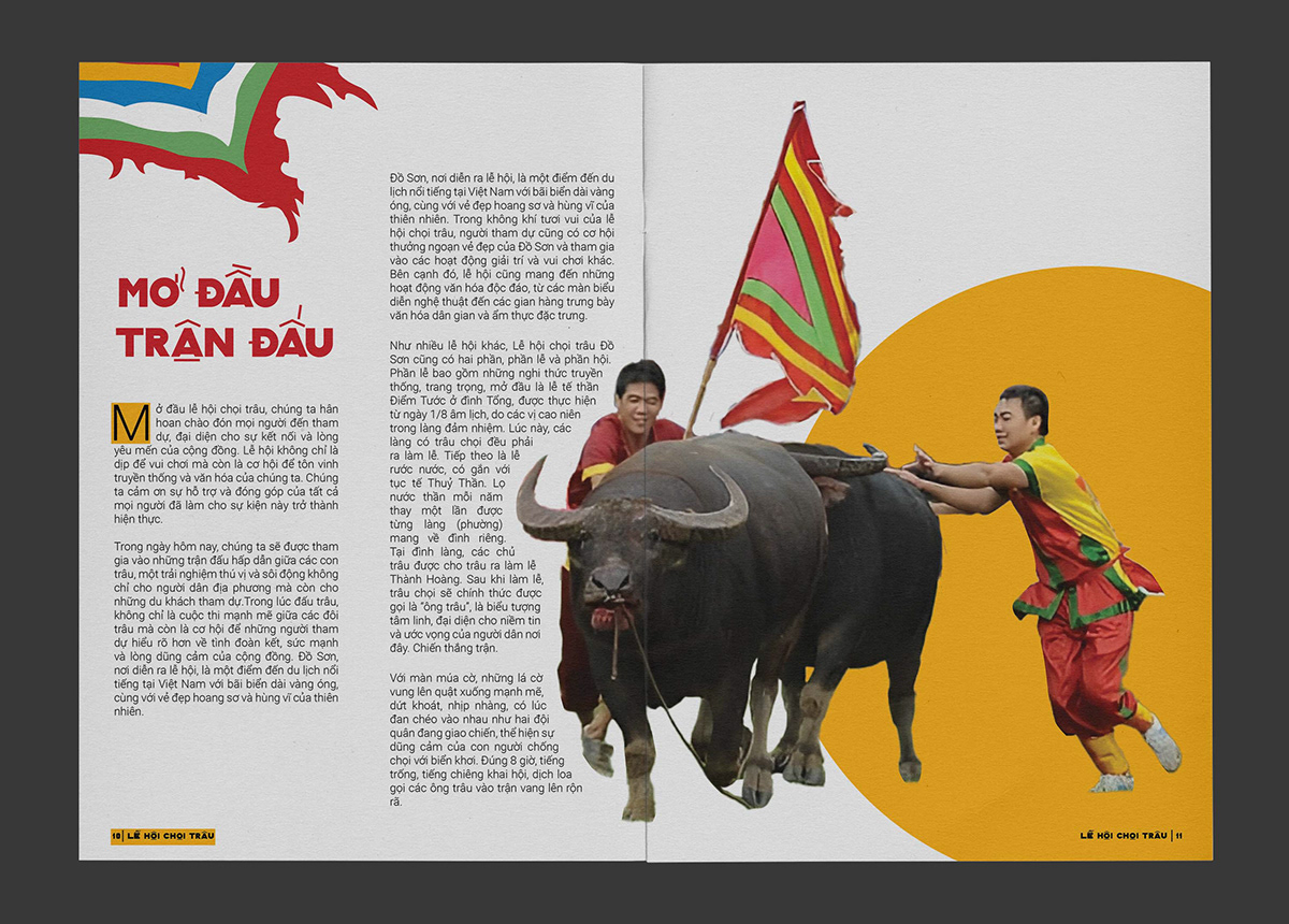 magazine Magazine design magazine layout Magazine Cover vietnam festival InDesign indesign magazine InDesign Layout brochure