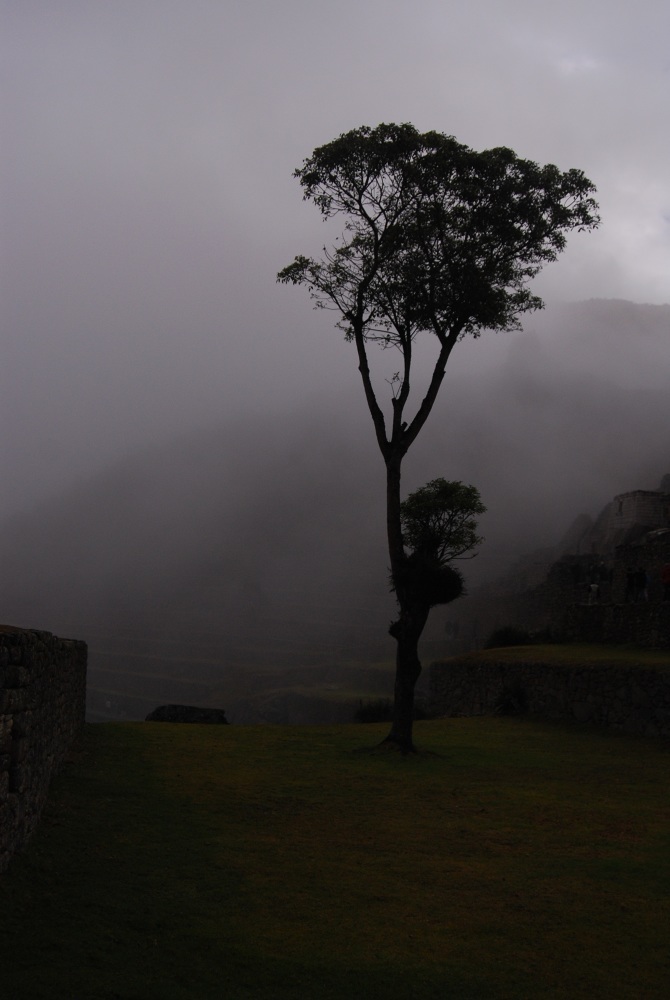 Machu Picchu Landscape Travel paisaje neblina peru Fotografia camino