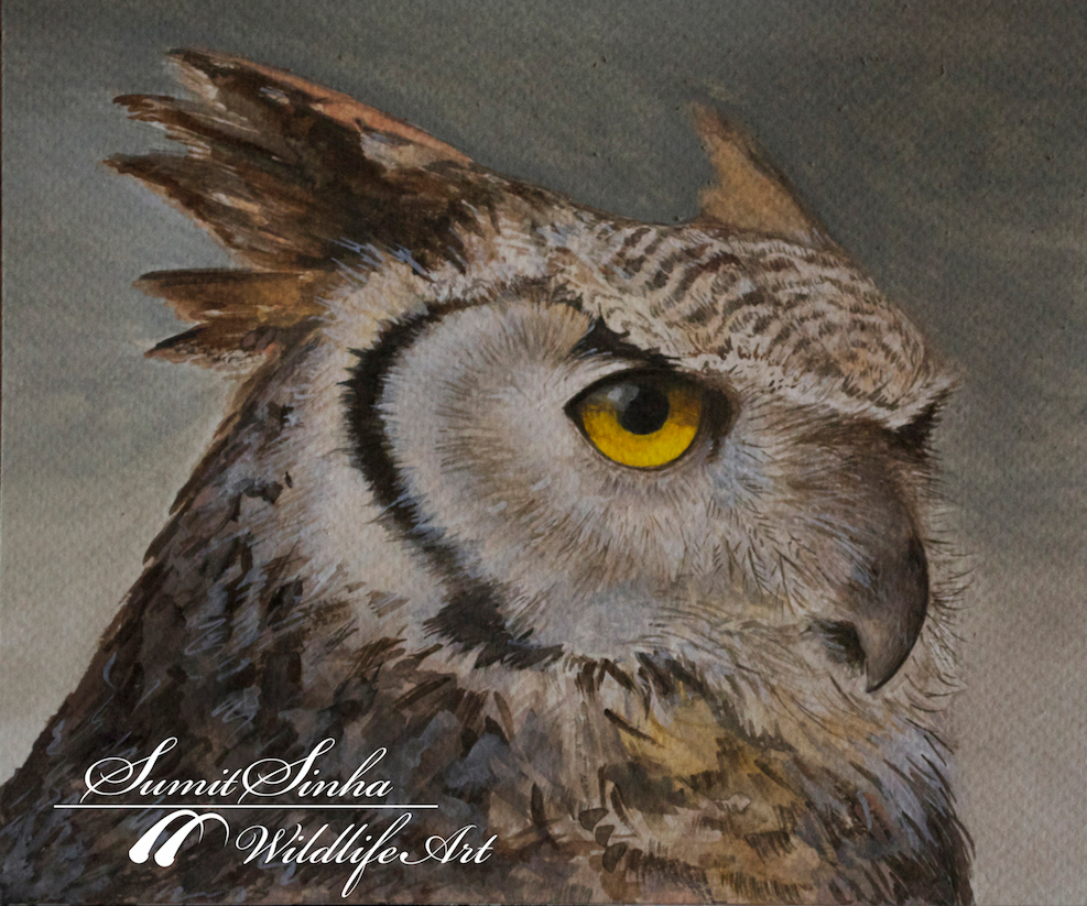 watercolour wildlife art bird painting wildlife owl
