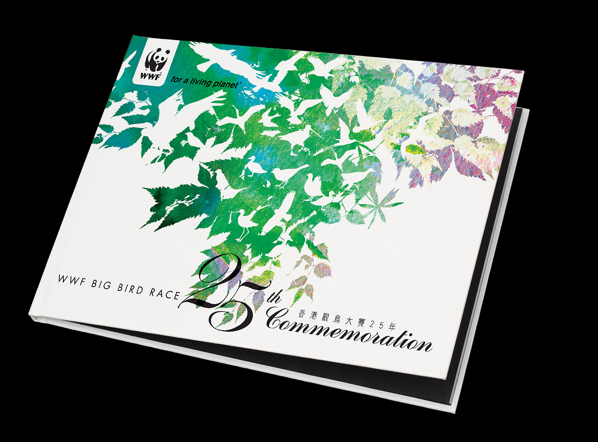 brochure Booklet Catalogue watercolour