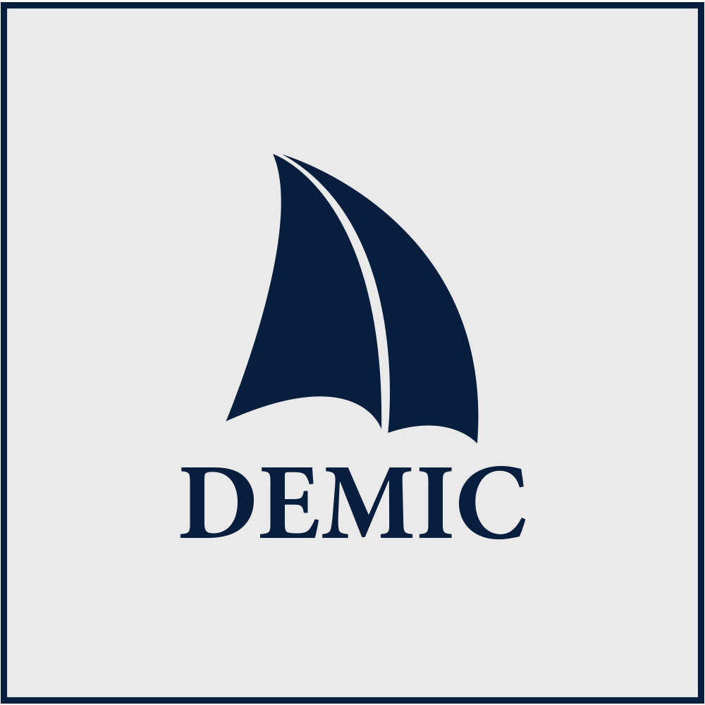 demic brand identity system DEMIC  jean