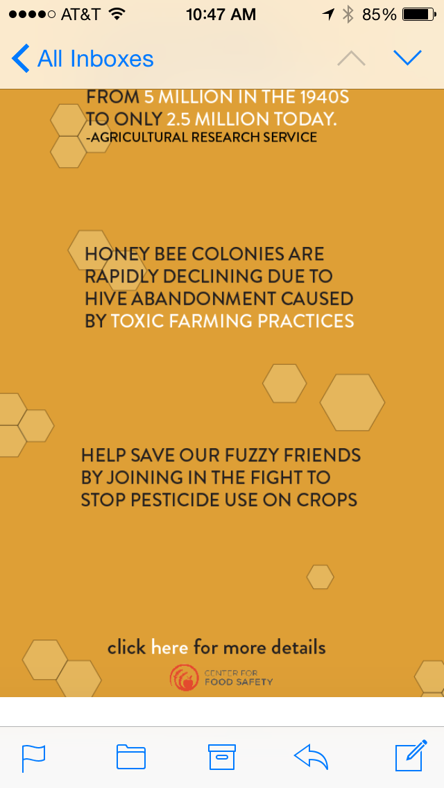 KCAI Email blast bee honey bee colony collapse disorder infograph