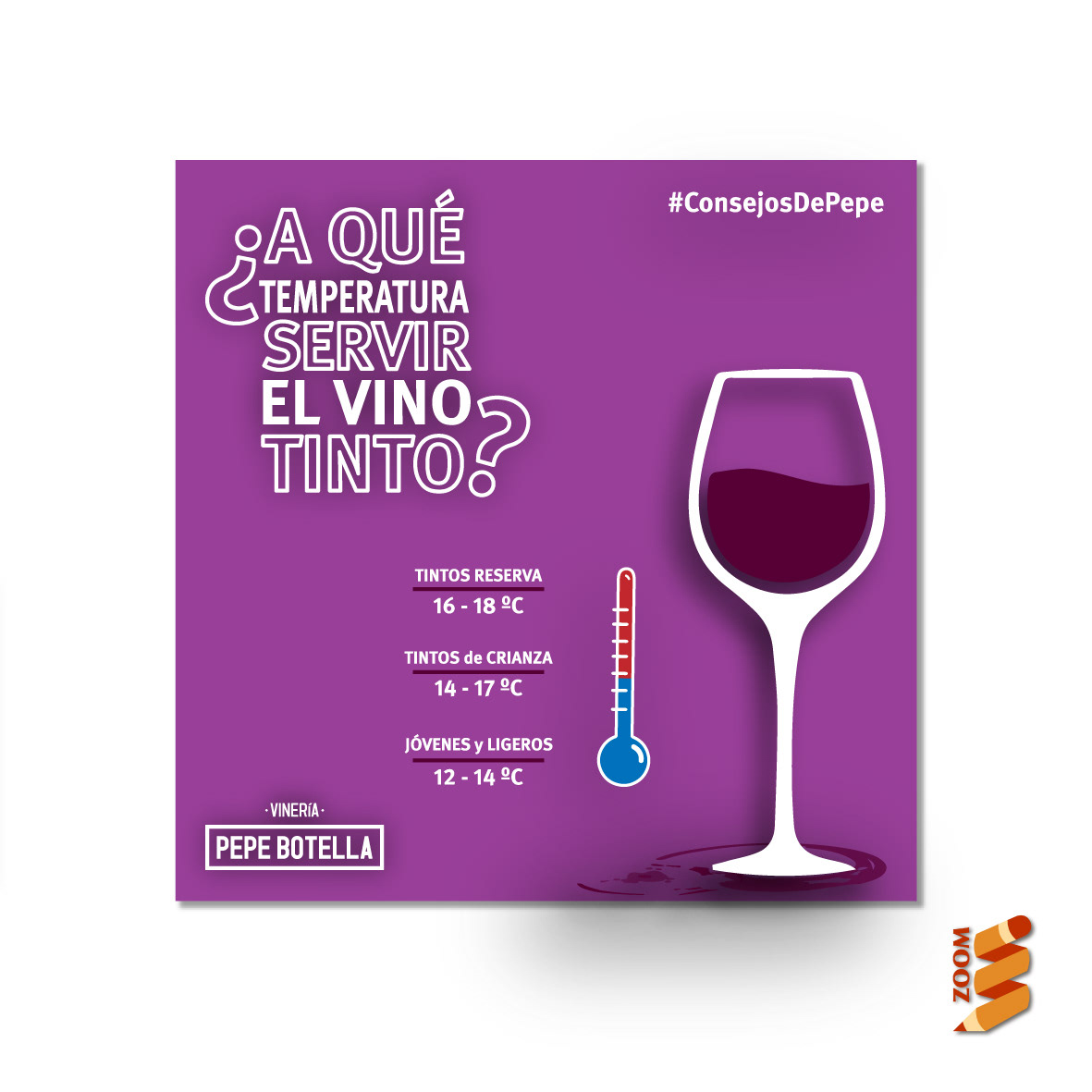 concept diseño gráfico drink flyer pictogramas iconos redes sociales vector vino wine