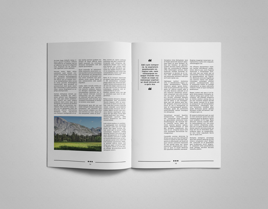 InDesign magazine template Multipurpose clean simple minimal a4 letter magazine clean layout